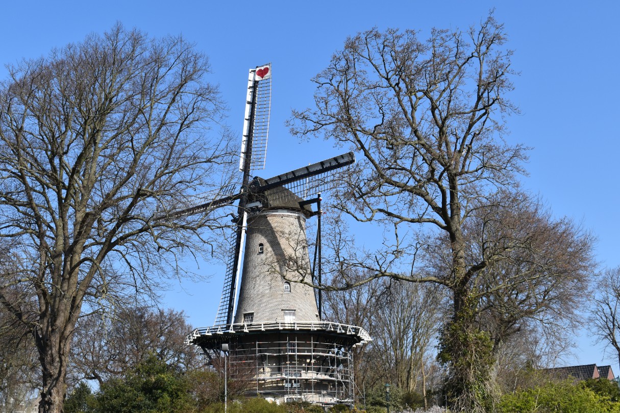 Alkmaarse mysteries aan deze Piet dankt