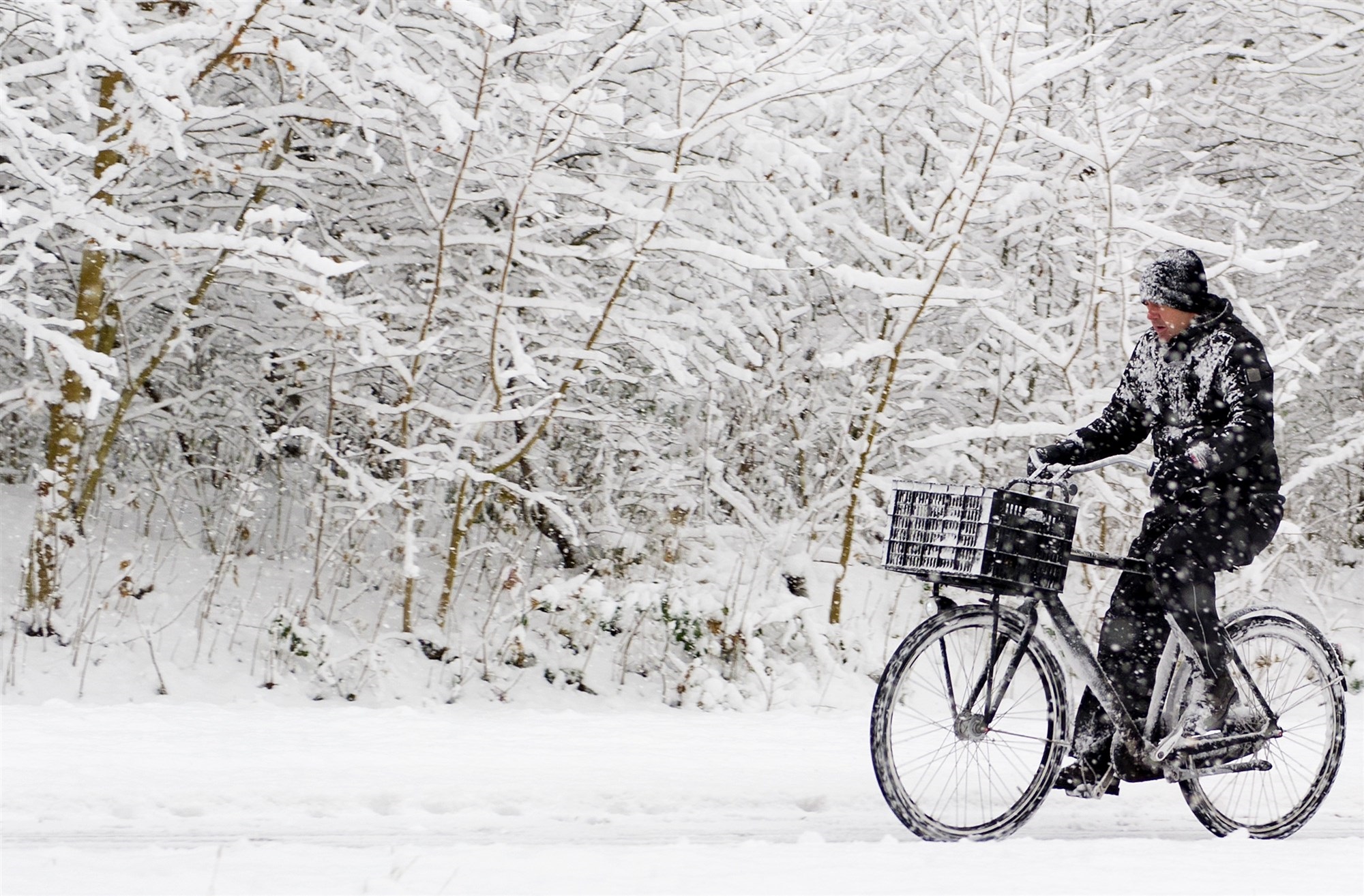 Krijgen we een witte kerst? Dit