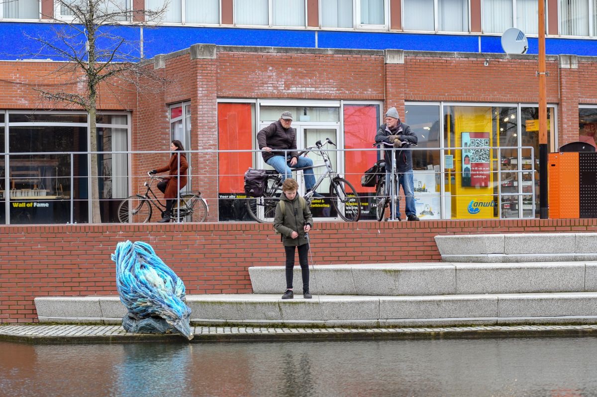 Snavel ijsvogel afgebroken Almelo