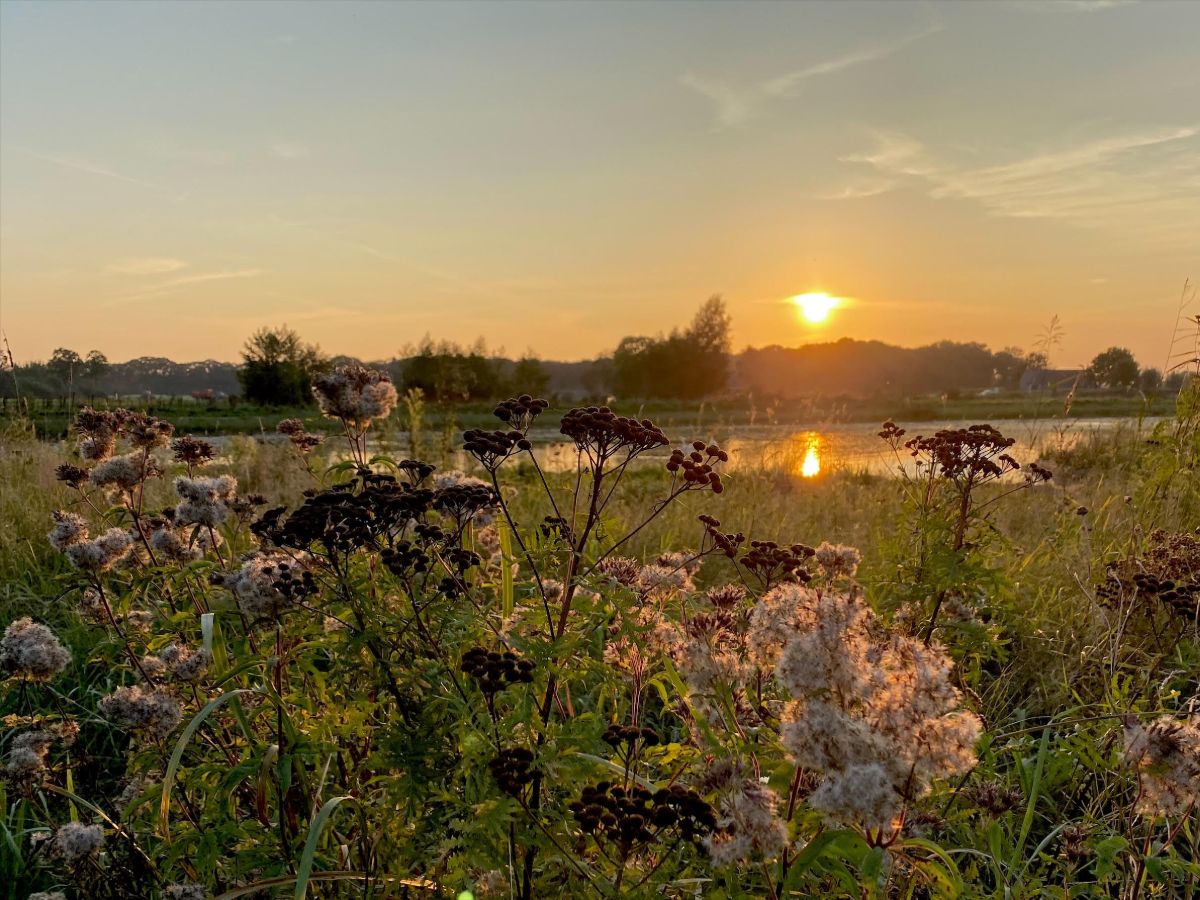 Herfst in Almelo! 9 x fraaie natuurfoto's door hobbyfotograaf Chantal - indebuurt