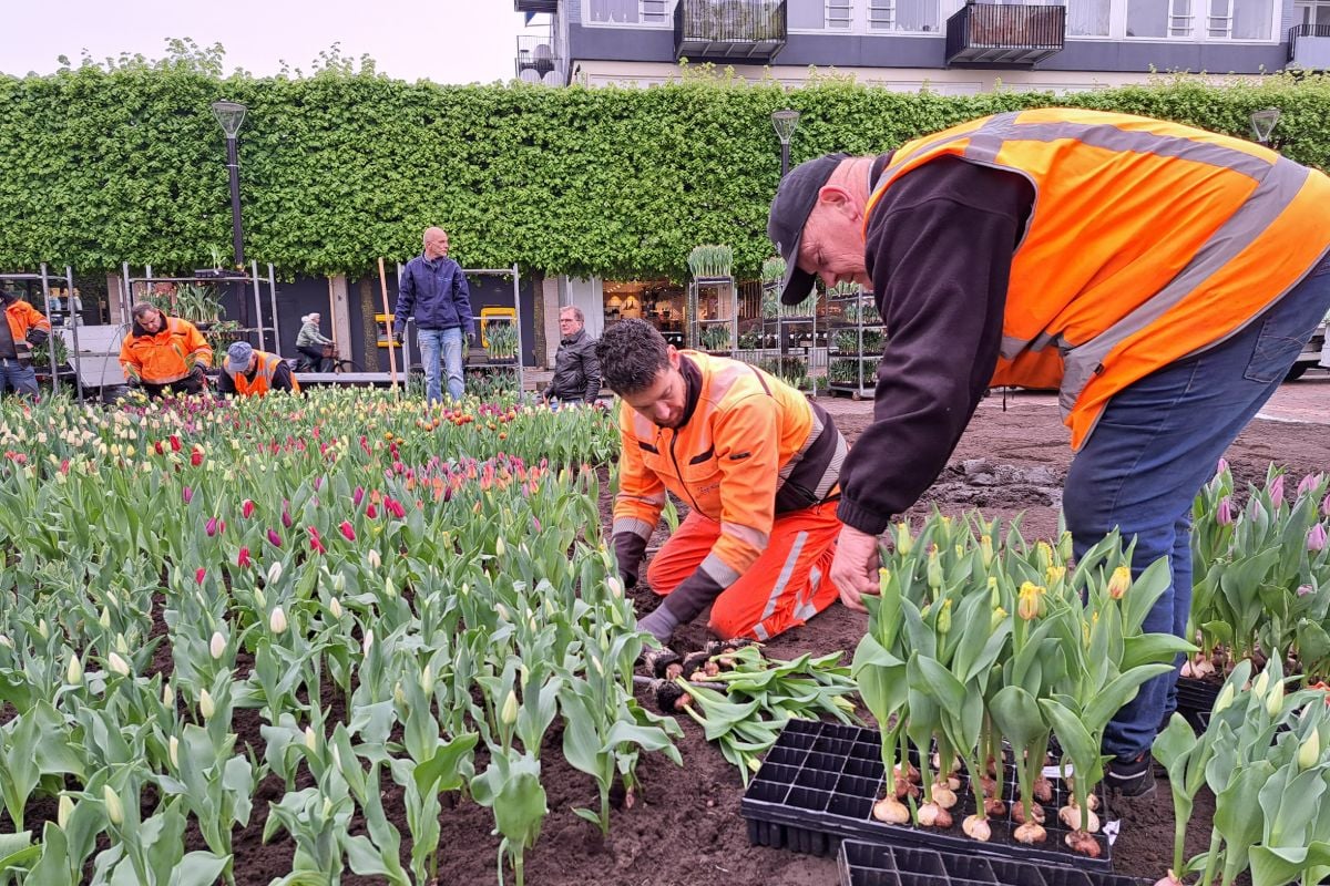 Nieuwe zaken, hogere boetes en meer: dit verandert er in Almelo in 2026