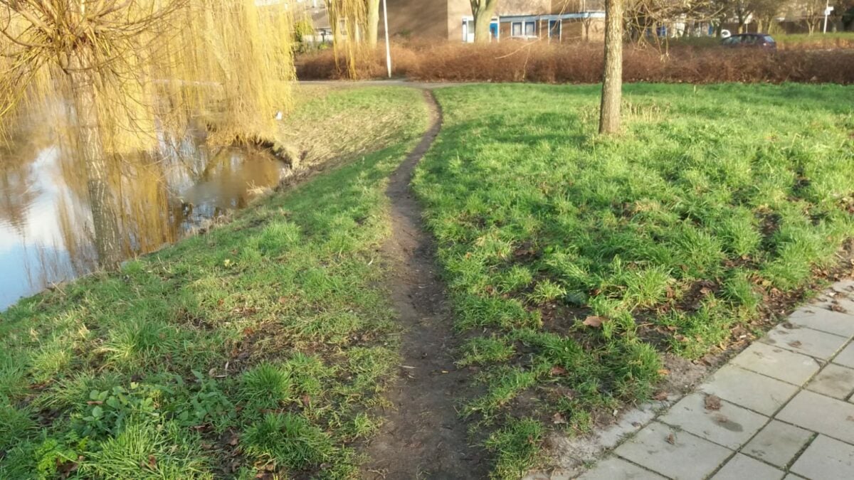 Gek op shortcuts? Met deze app vind je olifantenpaadjes in Almelo