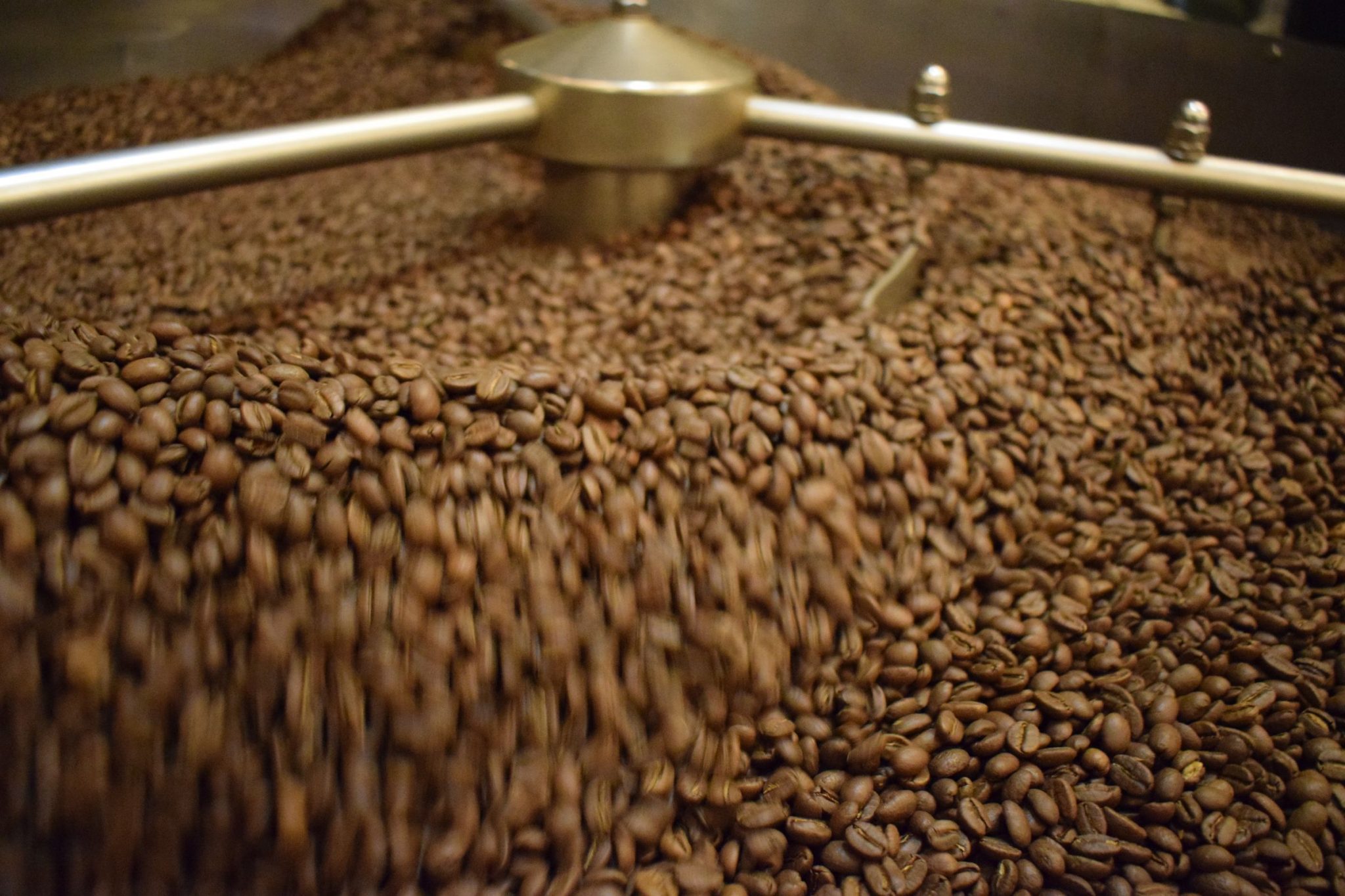 het lokaal wint koffie top 100