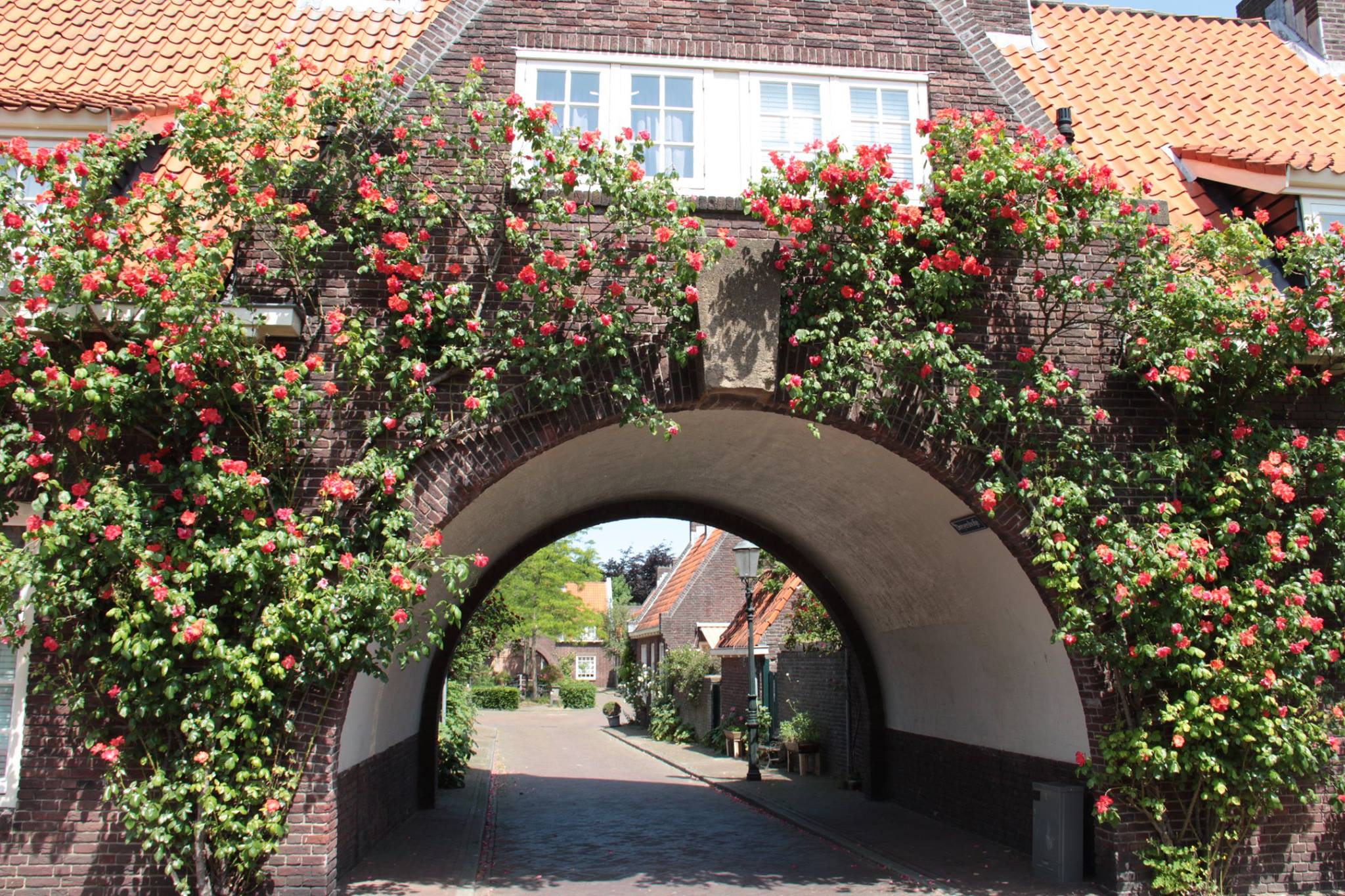 mooiste geveltuintjes
