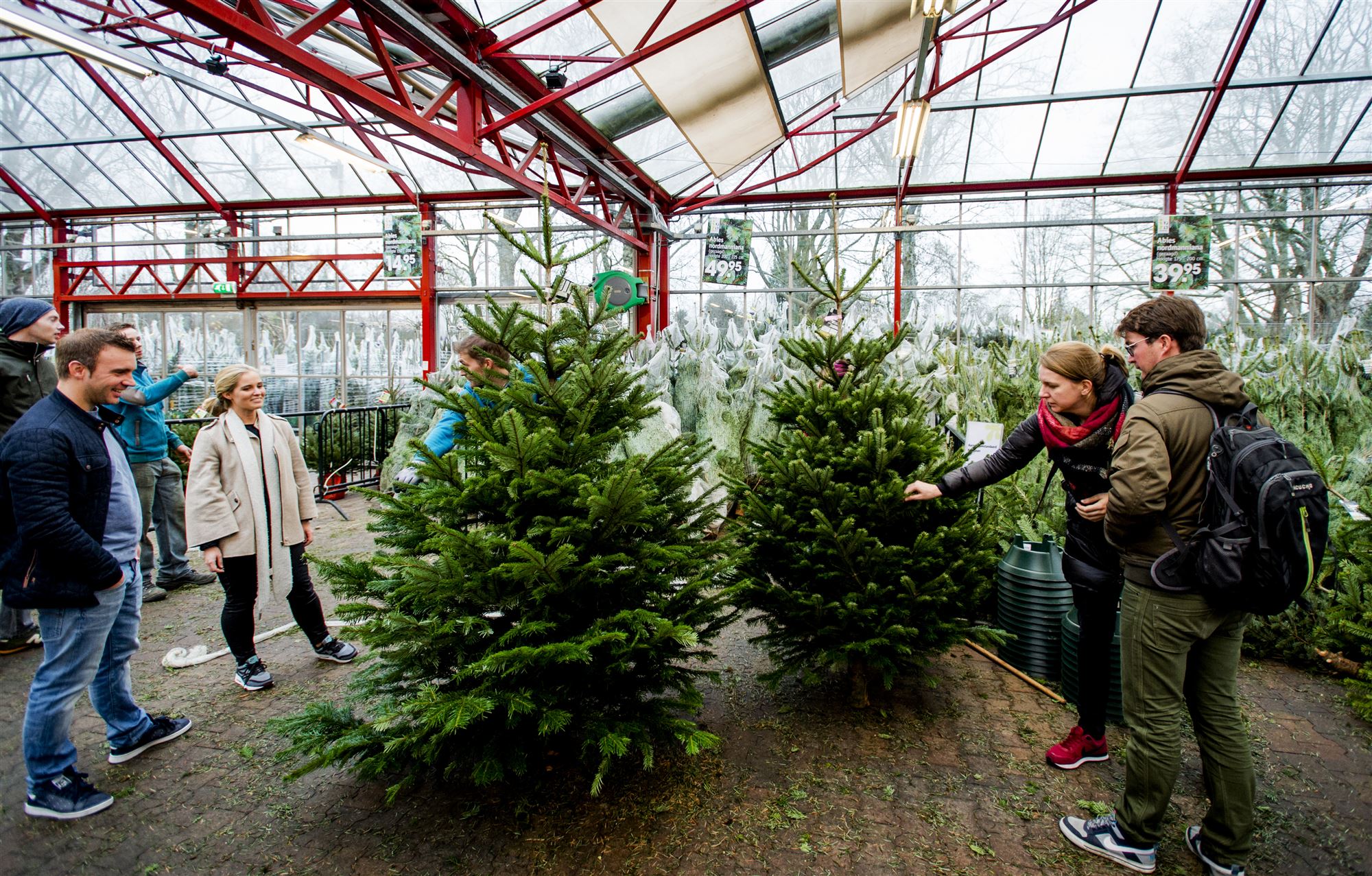 adopteer je kerstboom