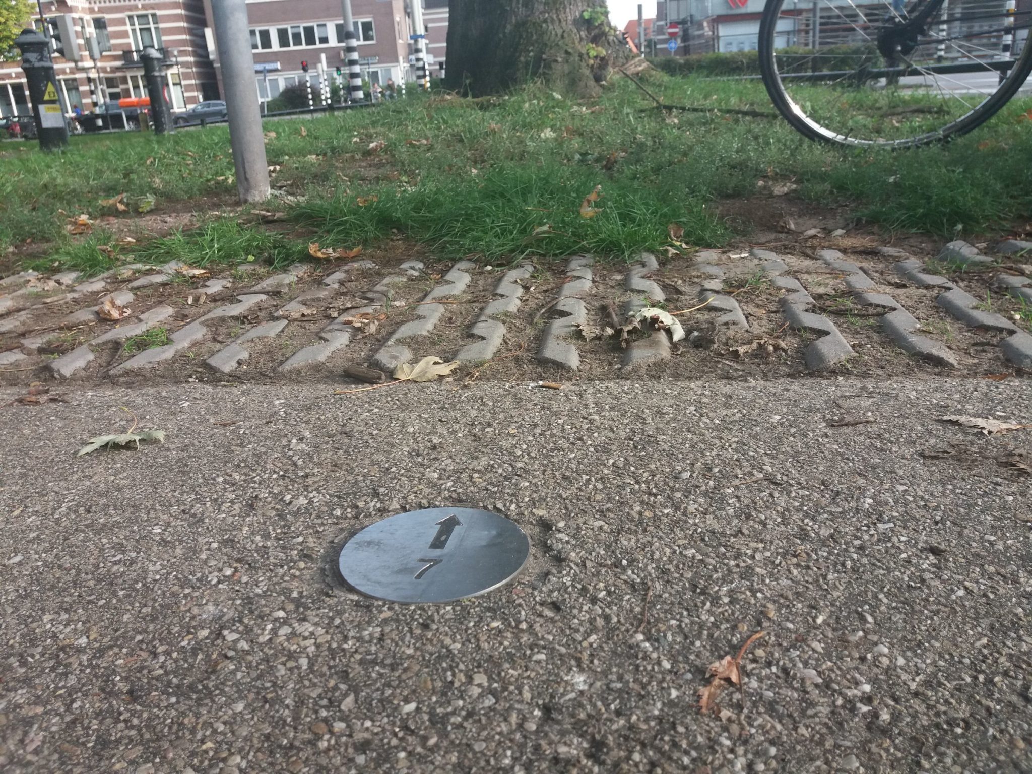 getallen op de grond in het plantsoen