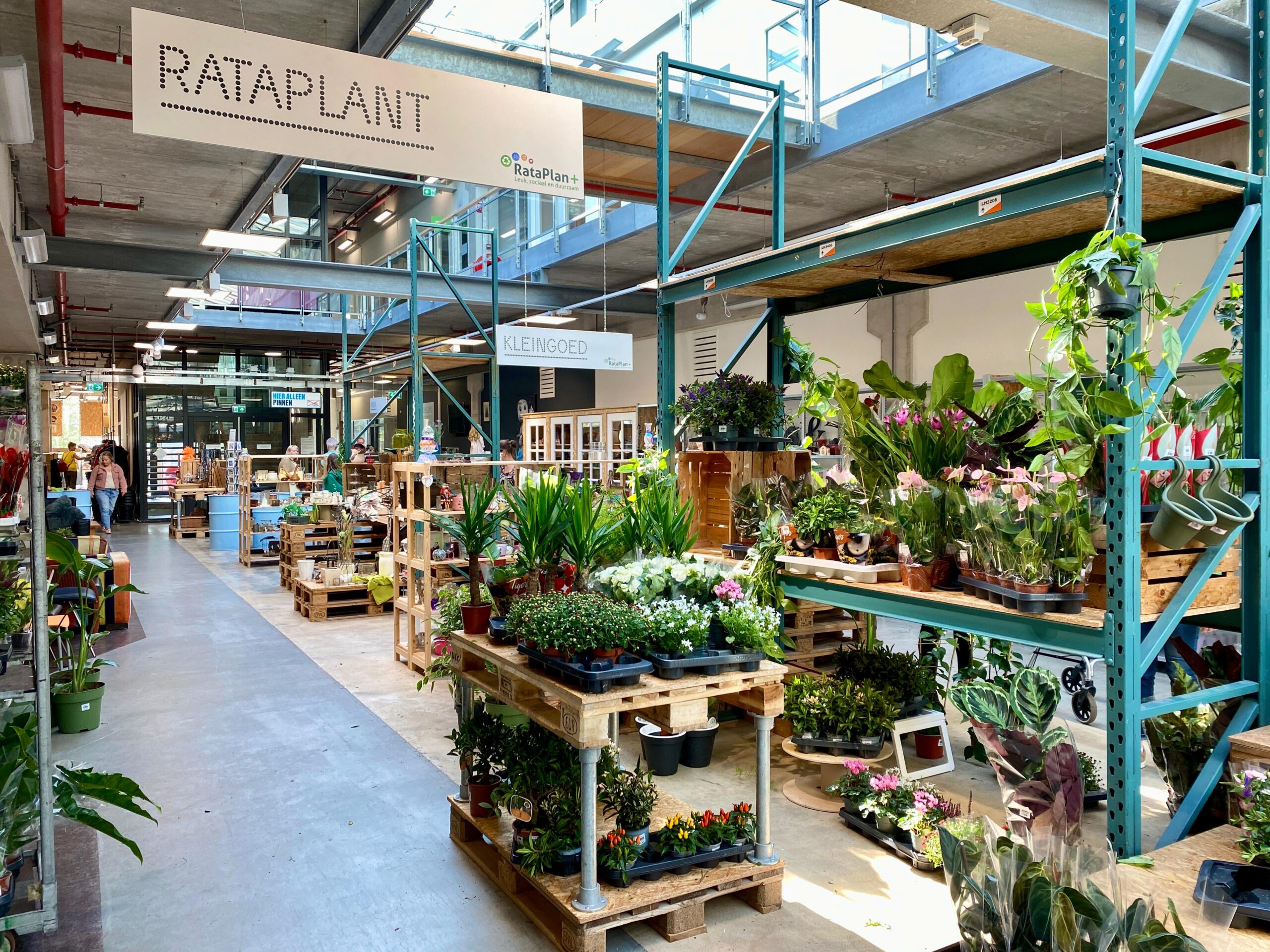 Net op tijd: 5 x hier scoor je dé kerstster in Amersfoort