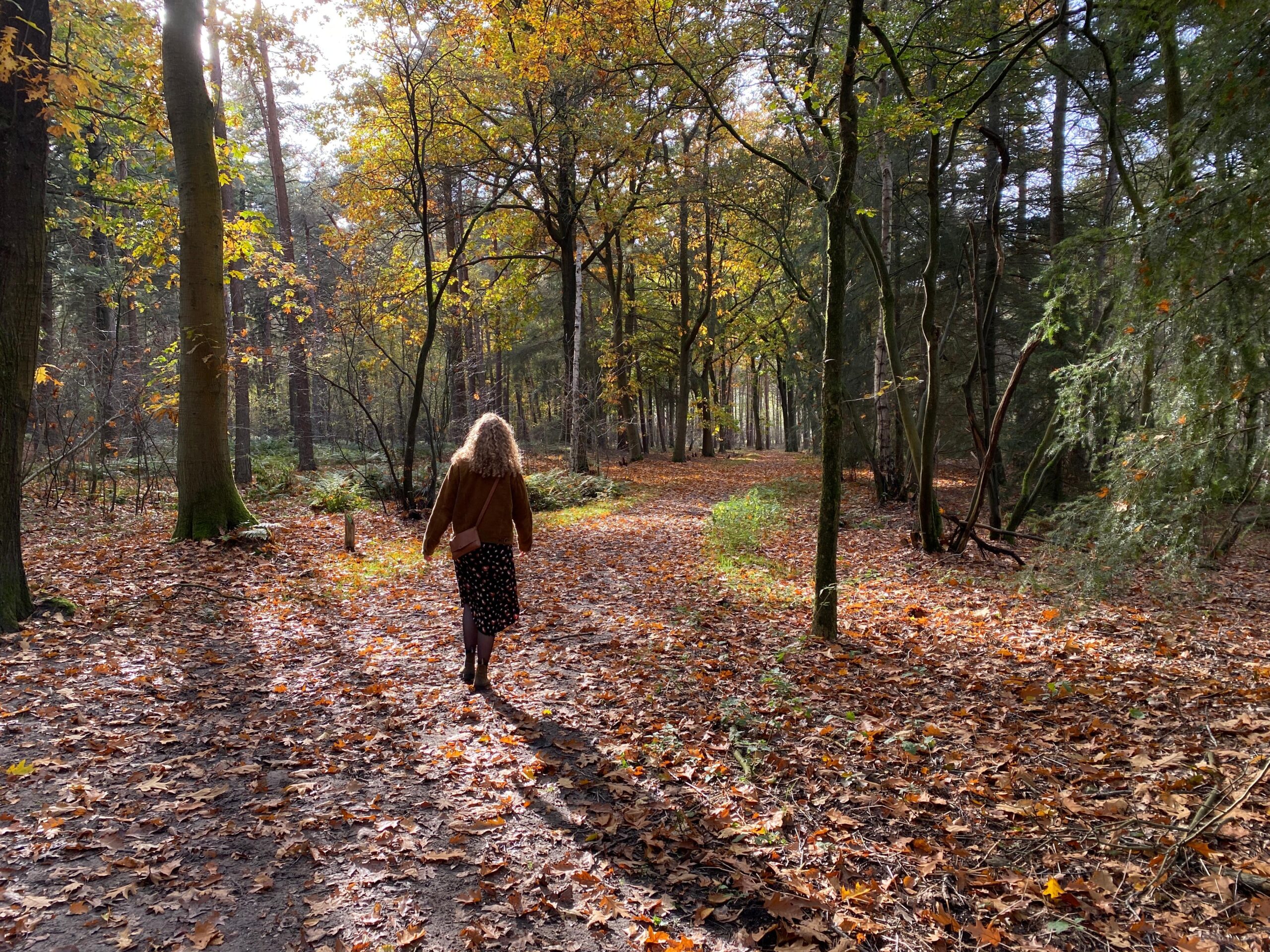 5 x hier in Amersfoort maak je mooie herfstwandelingen