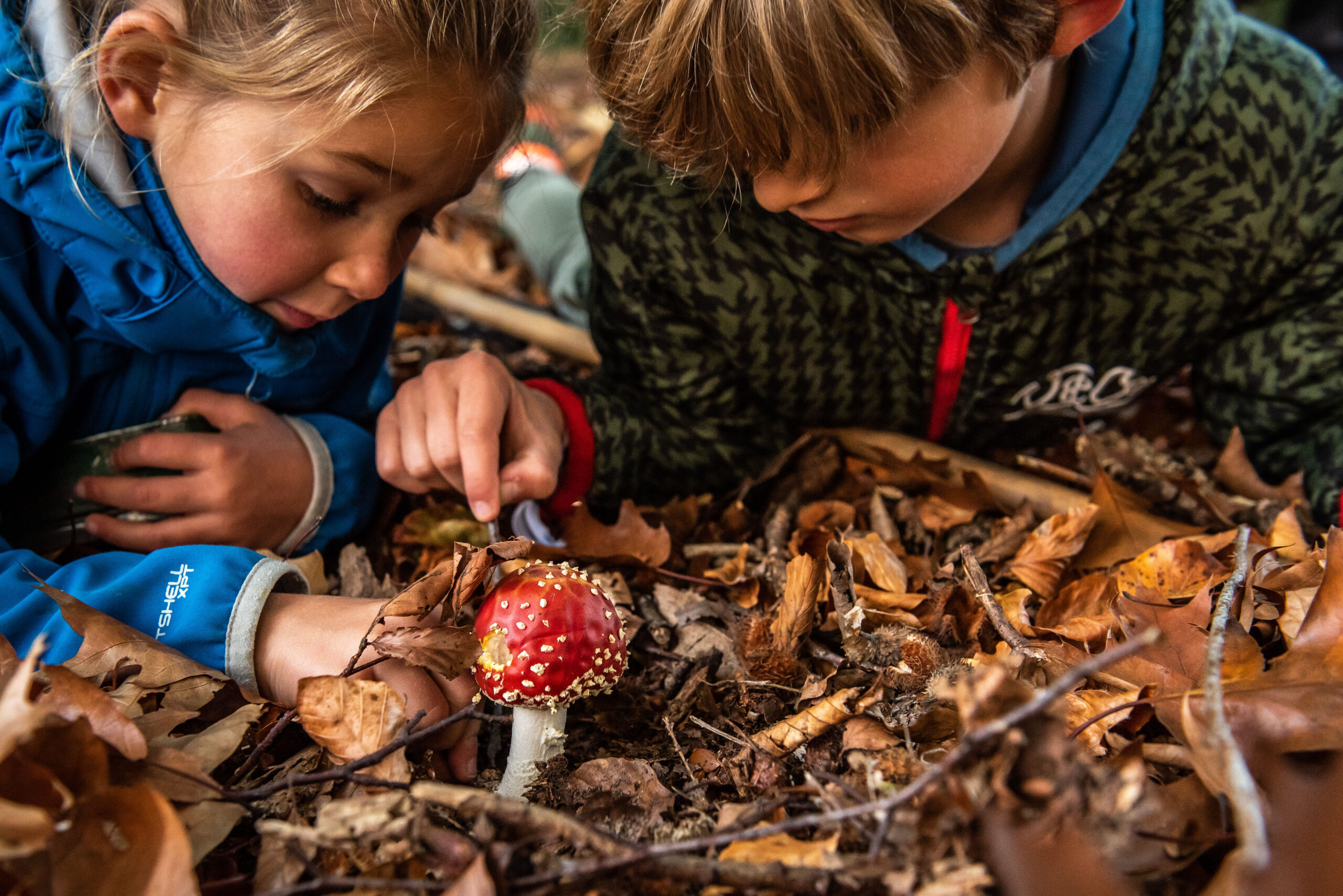 De mooiste herfstvakantie in regio Amersfoort beleef je buiten tijdens de Beleefweek