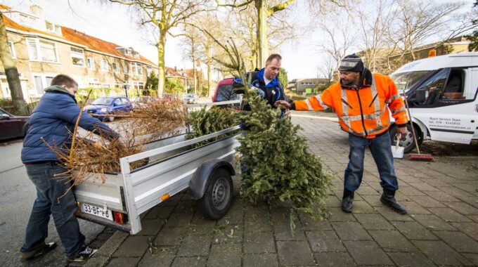 Kerstboom_inzameling