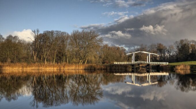 Amsterdamse bos