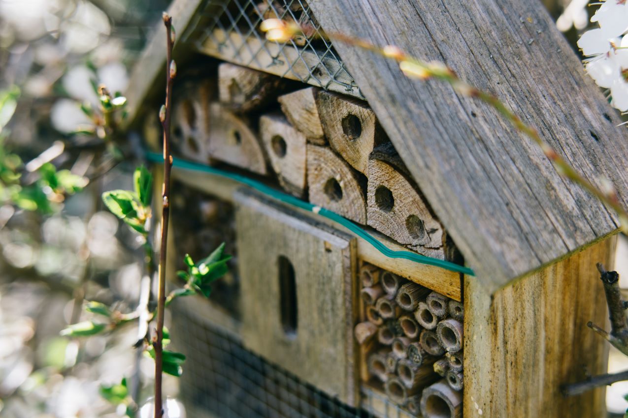 Insectenhotel