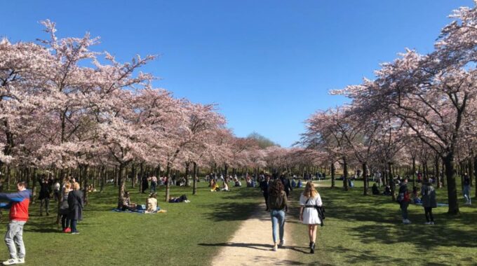 bloesempark