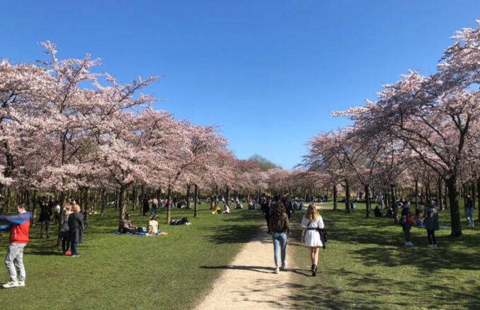bloesempark