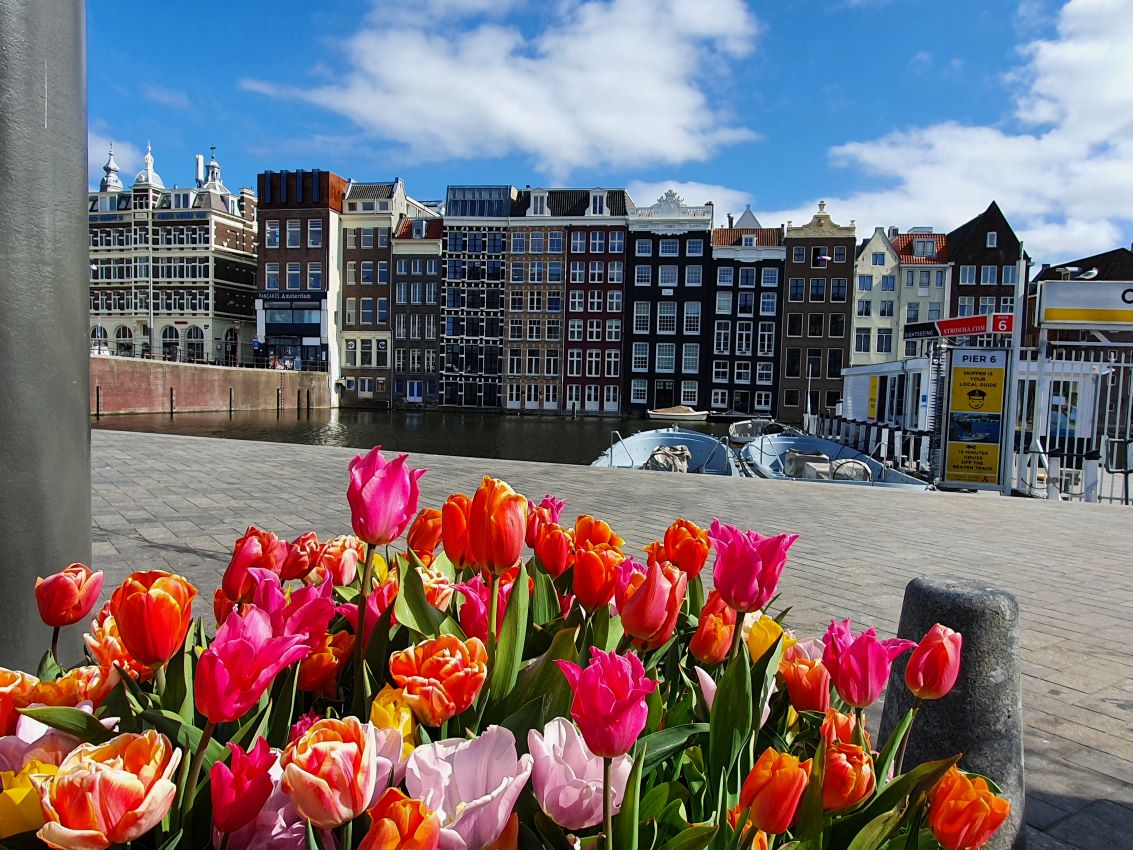 Tulpen Damrak2