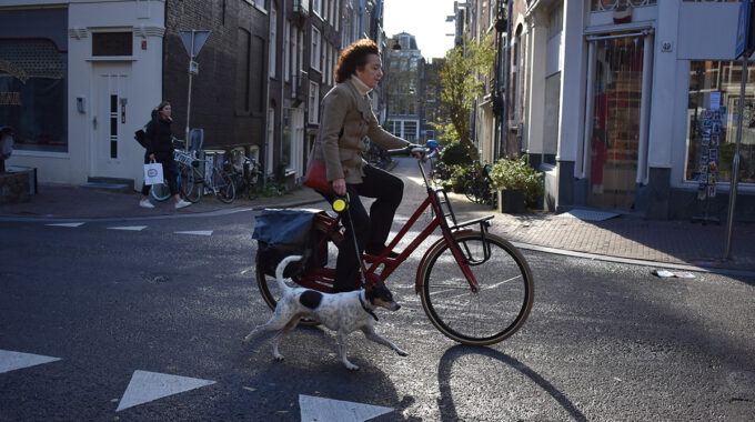 hondenbelasting Amsterdam