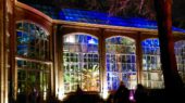 Hortus by Night
