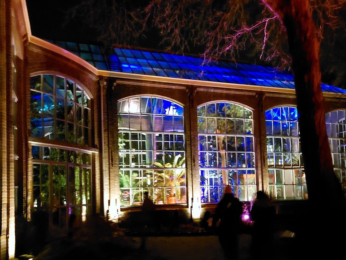 Doen in de kerstvakantie: in het donker naar de Hortus (Hortus by Night)