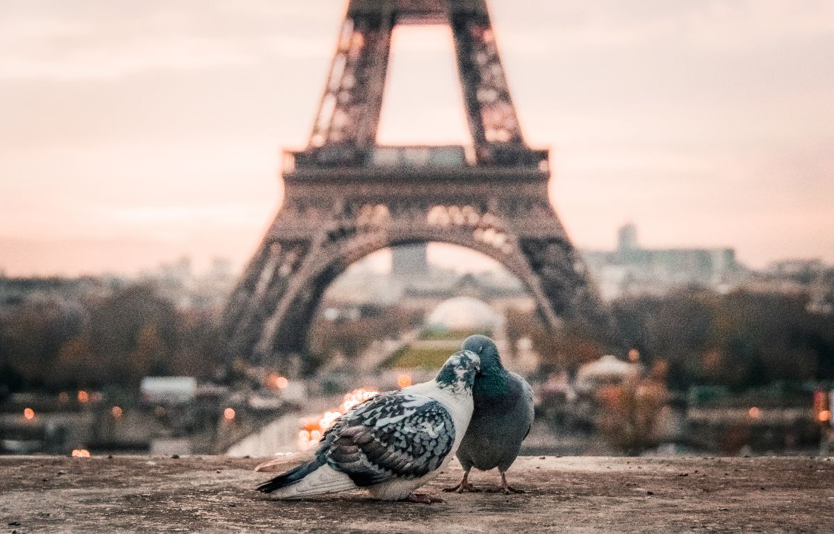 Le petit tour