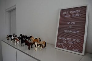 gelukpaarden