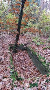 berg en bos