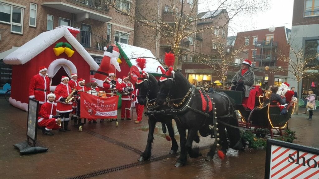 kerstvierdaagse eglantier