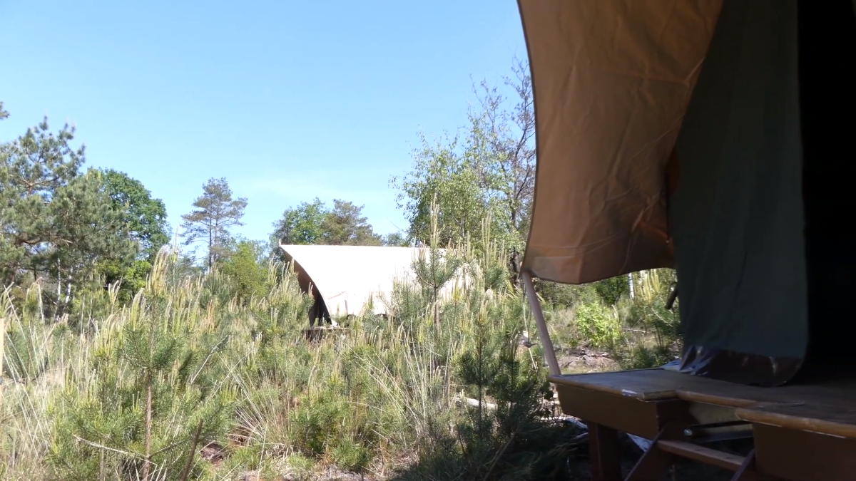 Pop-up glamping in ongerepte natuur bij Hoenderloo: 'Het lijkt een beetje buitenland' - indebuurt