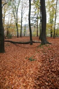 geulen philipsbos apeldoorn