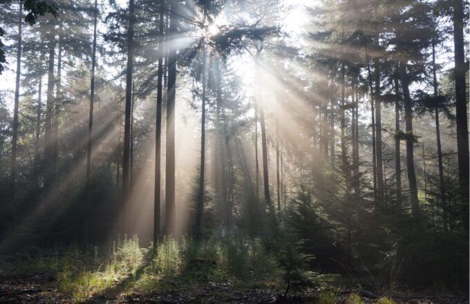 veluwe hemelvaart