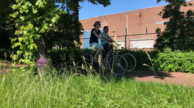 hooikoorts juni 2021 apeldoorn pollen