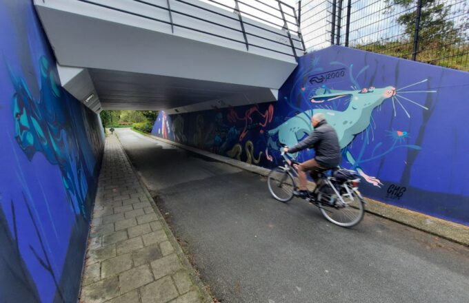 graffiti fietstunnel de voorwaarts de maten