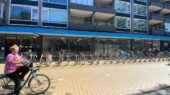 gorillas apeldoorn