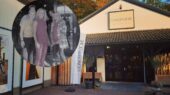 conceptstore 56