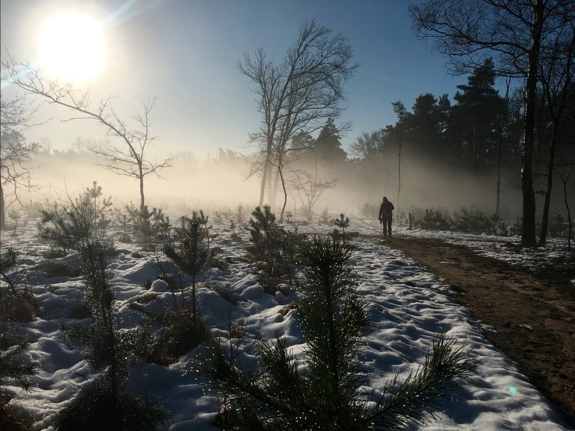 Weekend in Apeldoorn! Van pubquiz tot snertwandeling: dit is er te doen van 9-11 januari