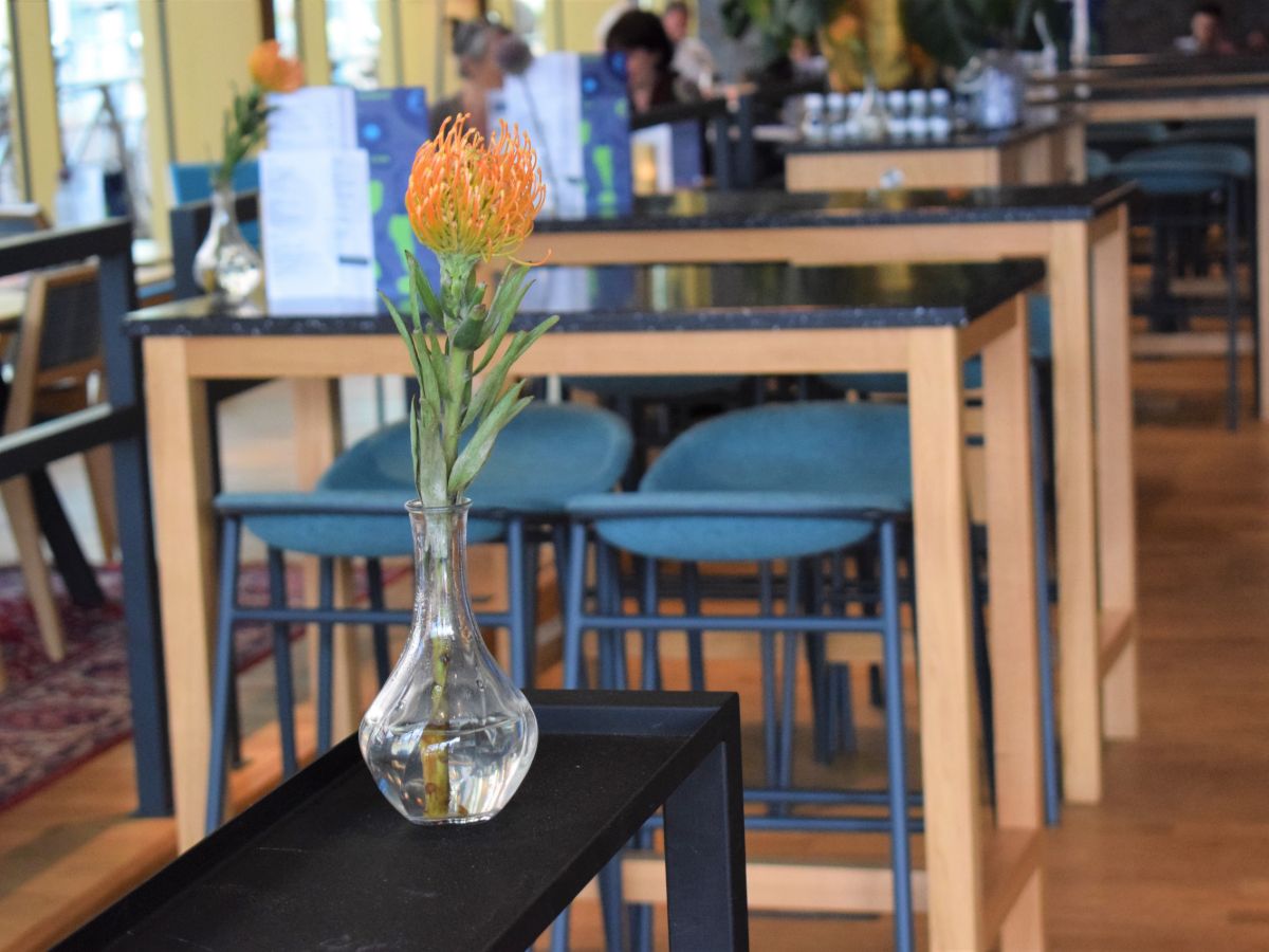 focus arnhem restaurant eten drinken