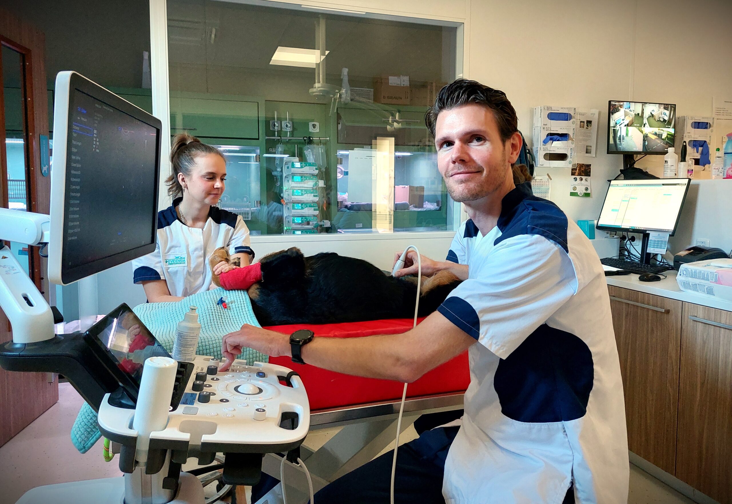 Binnenkijken bij het dierenziekenhuis in Arnhem: 'Communiceren met baasjes is het moeilijkst'