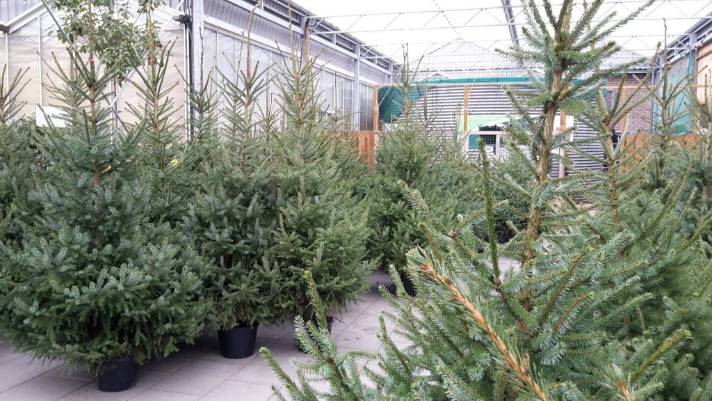 tuincentrum de bolusberg