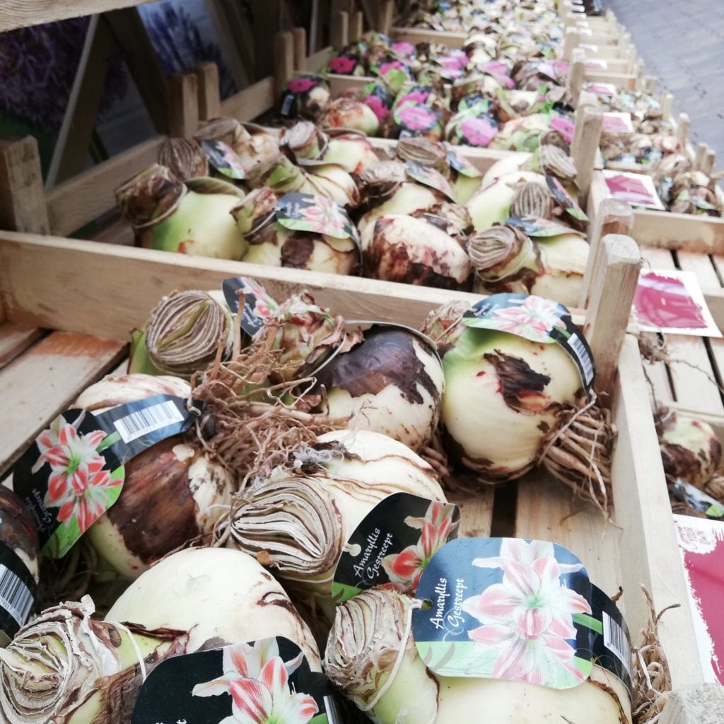 Intratuin houdt een mega uitverkoop en dit kan je er kopen indebuurt