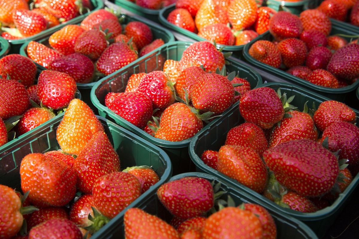 aardbei aardbeien