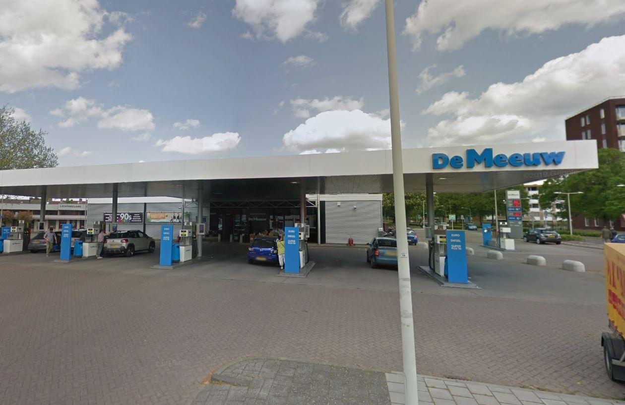 de meeuw