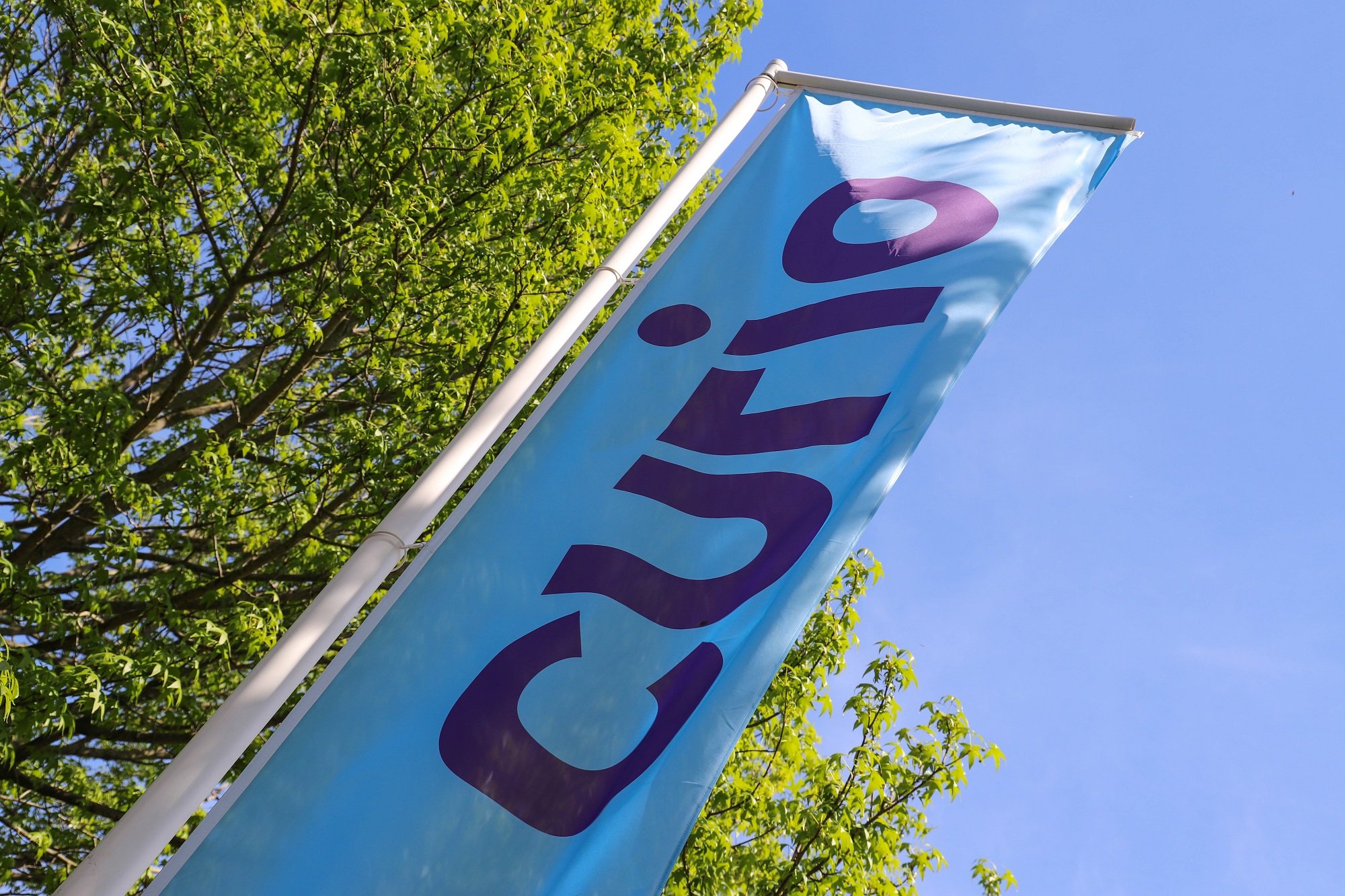 curio