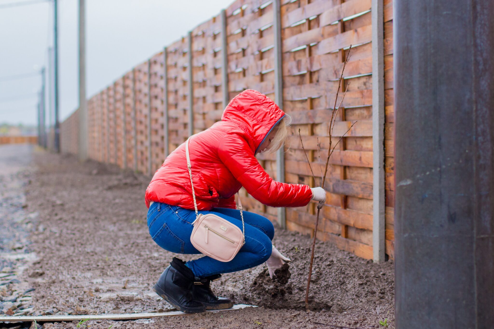 boom planten buren