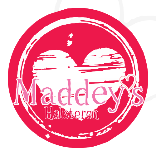IJssalon Maddey’s Halsteren