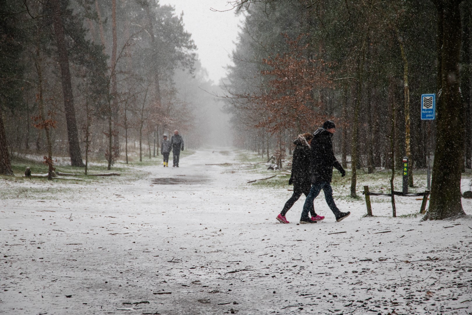 sneeuw bergen op zoom bos winter sneeuwen landgoed lievensberg wandelen