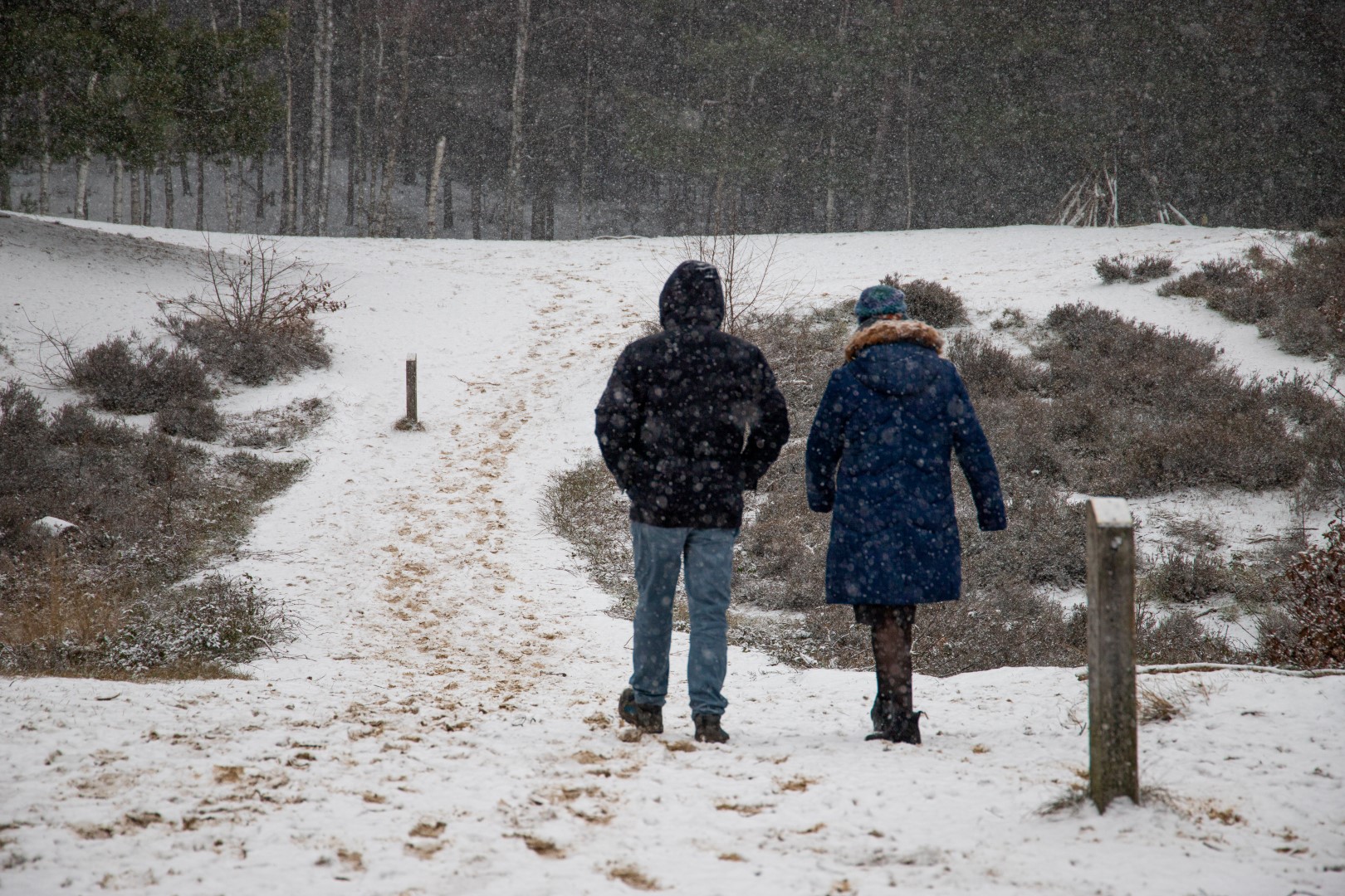 weersverwachting voor februari sneeuw bos winter sneeuwen landgoed lievensberg wandelen heide