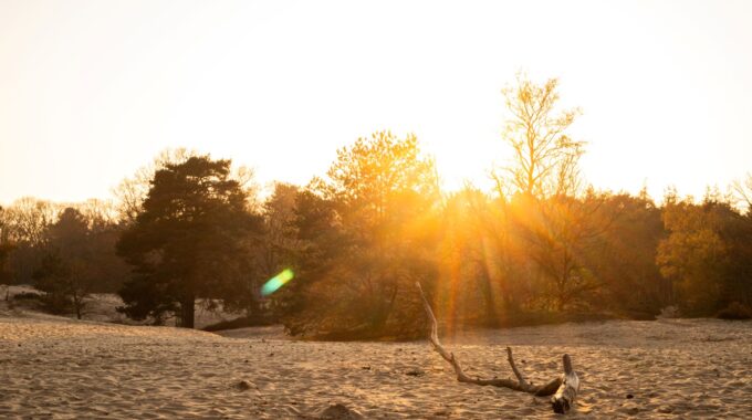 landgoed lievensberg zonsondergang zon golden hour goude uur heide zand