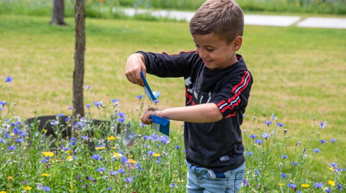 Opening park belvedere biodiversiteit bloemen natuur gras kinderen