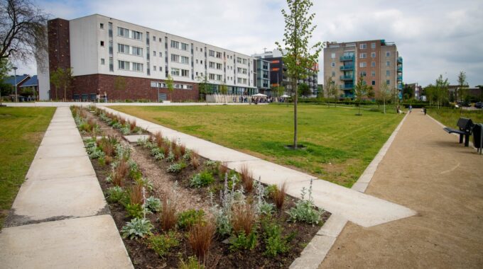 Opening park belvedere biodiversiteit bloemen natuur gras kinderen
