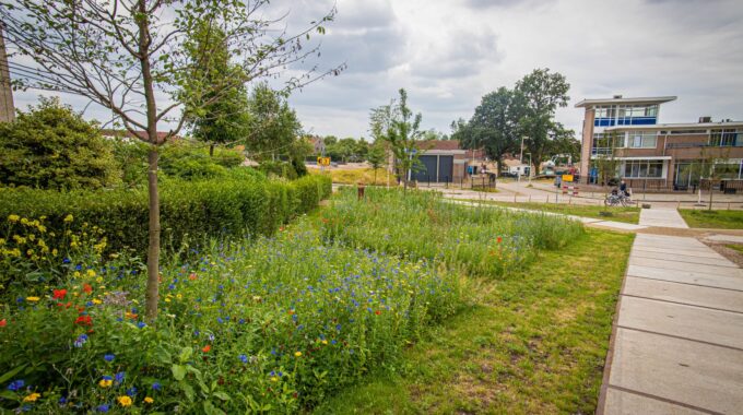 Opening park belvedere biodiversiteit bloemen natuur gras kinderen