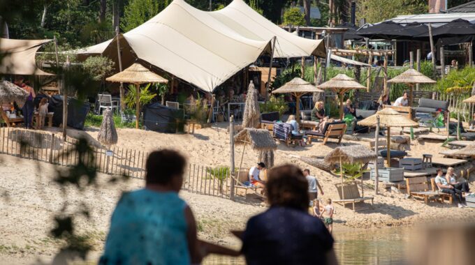 natuur bergse heide water meer boom bomen zand strand zomer de berk picknick